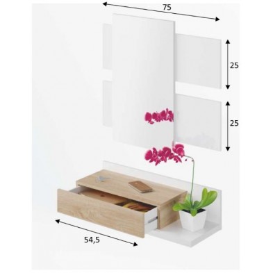 Recibidor Cajón Modern Roble Canadian/Blanco Artik