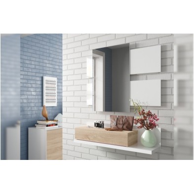 Recibidor Cajón Modern Roble Canadian/Blanco Artik