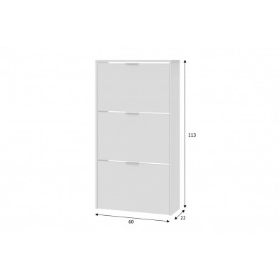 Zapatero 3 Puertas Blanco Brillo