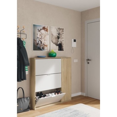 Zapatero 4 Puertas Class