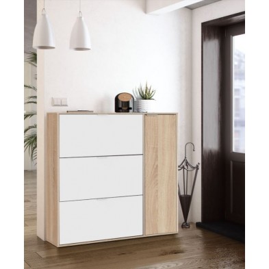 Zapatero 4 Puertas Class